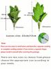 1 Stück Künstliche Pflanzen Große Tropische Palme Gefälschte Bananenpflanzen Blätter Real Touch Kunststoff Monstera Pflanze Für Hausgarten Dekor