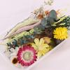 Useful Dried Flower Soft Pretty Decorative