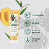 KLORANE Nourshing Dry Hair Leave-in Cream with Mango Butter 125mL (NEW)