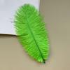 Source Thin Rod Ostrich Hair 20-25Cm High Quality Feather Diy Stage Clothing Accessories Flower Arrangement Material