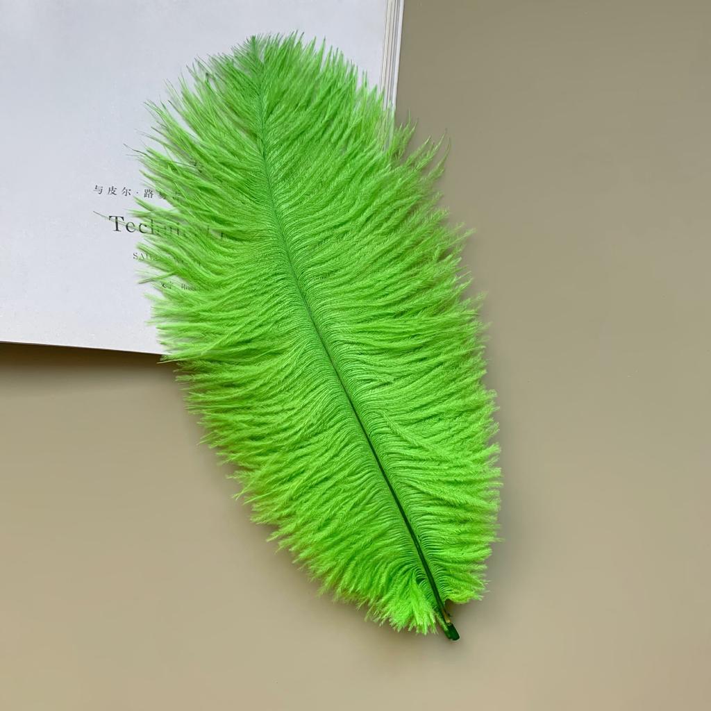 Source Thin Rod Ostrich Hair 20-25Cm High Quality Feather Diy Stage Clothing Accessories Flower Arrangement Material