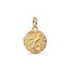 Charm Medaglione Rondine Pandora 764082C01
