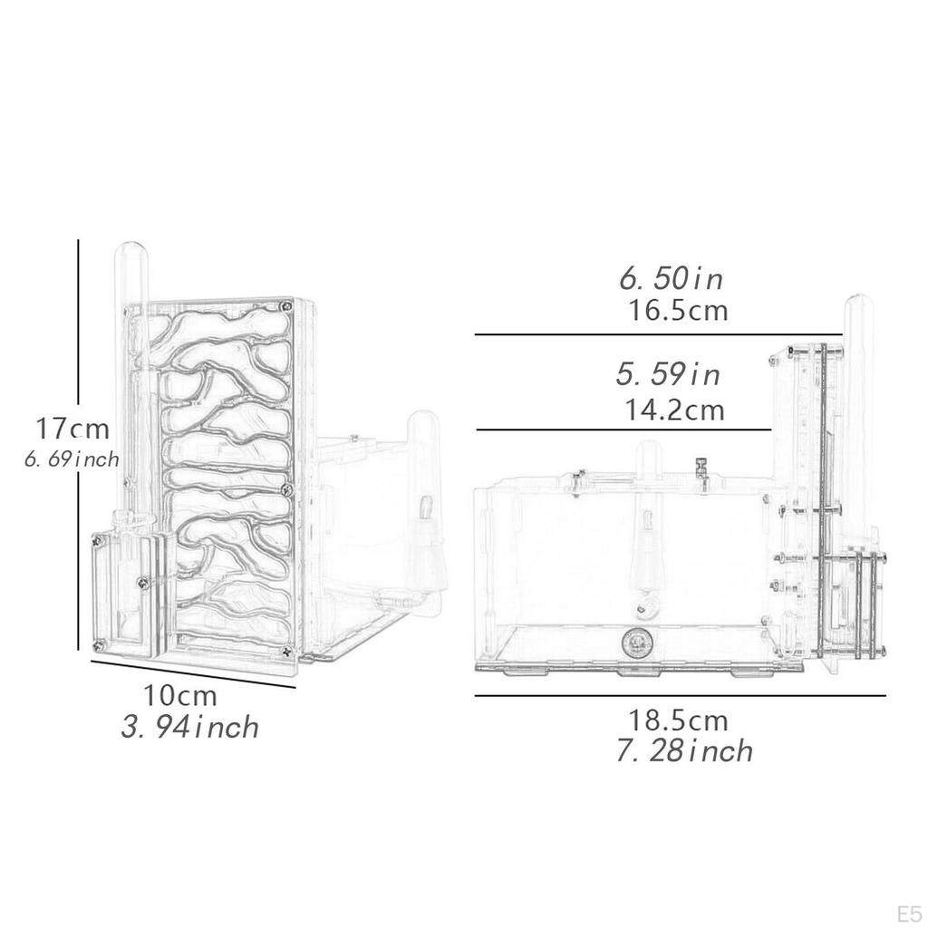Compact DIY Moisture Nest Box for Science Observation Living Room Home Kitchen
