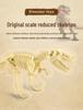 Dinosaur Fossil Excavation Toy: Gem and Skeleton Treasure for Kids