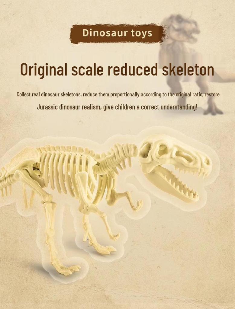 Dinosaur Fossil Excavation Toy: Gem and Skeleton Treasure for Kids