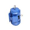 Sai Fan Lu YE3 Series Variable Frequency Motor