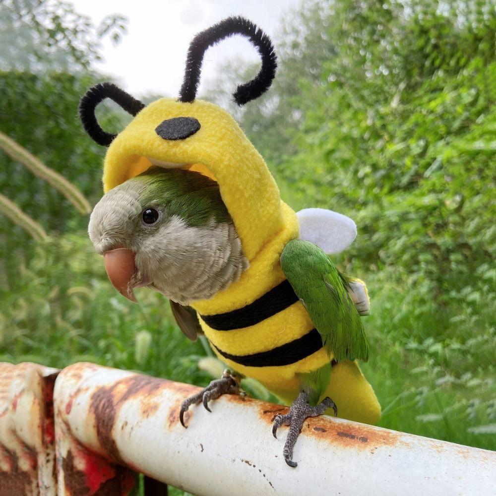 Bee Shape Parrot Winter Warm Hat Hooded Cloth Parrot Flying Suit Parrot Bee Shape Clothes  Autumn