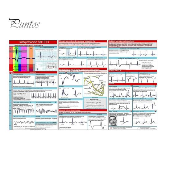 

Карманный справочник ЭКГ, интерпретация ритма ЭКГ, двухсторонняя карманная справочная карта, сложенная втрое учебная книга для студентов-медсестер 1pc