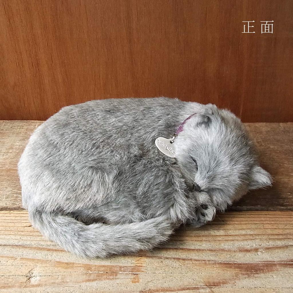 Ninian und Kino Perfektes Haustier Russisch Blau Plüsch Feiergeschenk (Klein) Katze, Realistisch, Lebensecht, Tier, Beruhigend, Bewegend, Geschenk, Niedlich,