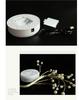 USB LED Romantic Tree Lights for Christmas & Valentine's Day - Perfect for Bedroom Atmosphere
