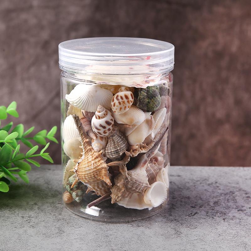 Натуральные ракушки игрушки украшения поделки аксессуары детские подарки украшения аквариума 1 box