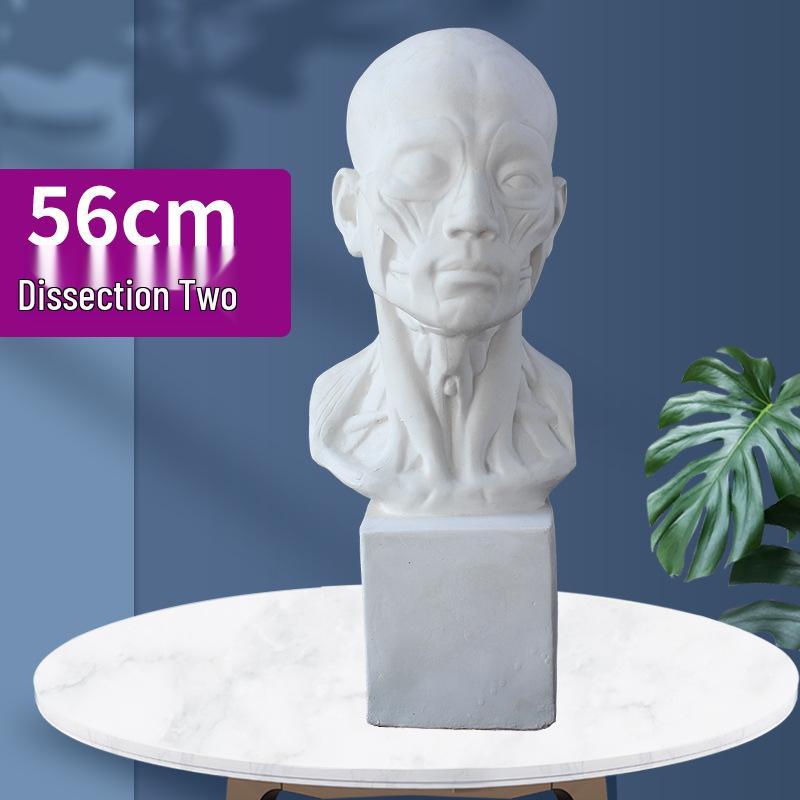 Plaster Cast Geometric Sculpture Set for Art and Photography