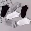 Women's Low-Cut Ankle Socks - Soft Lightweight Breathable Athletic Socks for Sports & Casual Wear