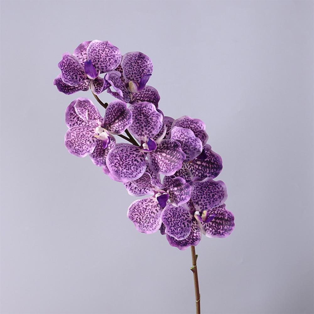 Plastic Phalaenopsis Branch Moisturizing Real Touch Orchids Simulation Flower  Office Decor