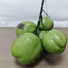Xianci Southeast Asian Style Potted Palm Tree: Faux Coconut Needle Palm for Landscaping and Mall Decor.