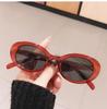 Small Oval Cat Eye Sunglasses for Women Vintage Designer UV400 Trendy Eyewear Female Sun Glasses Gafas De Sol
