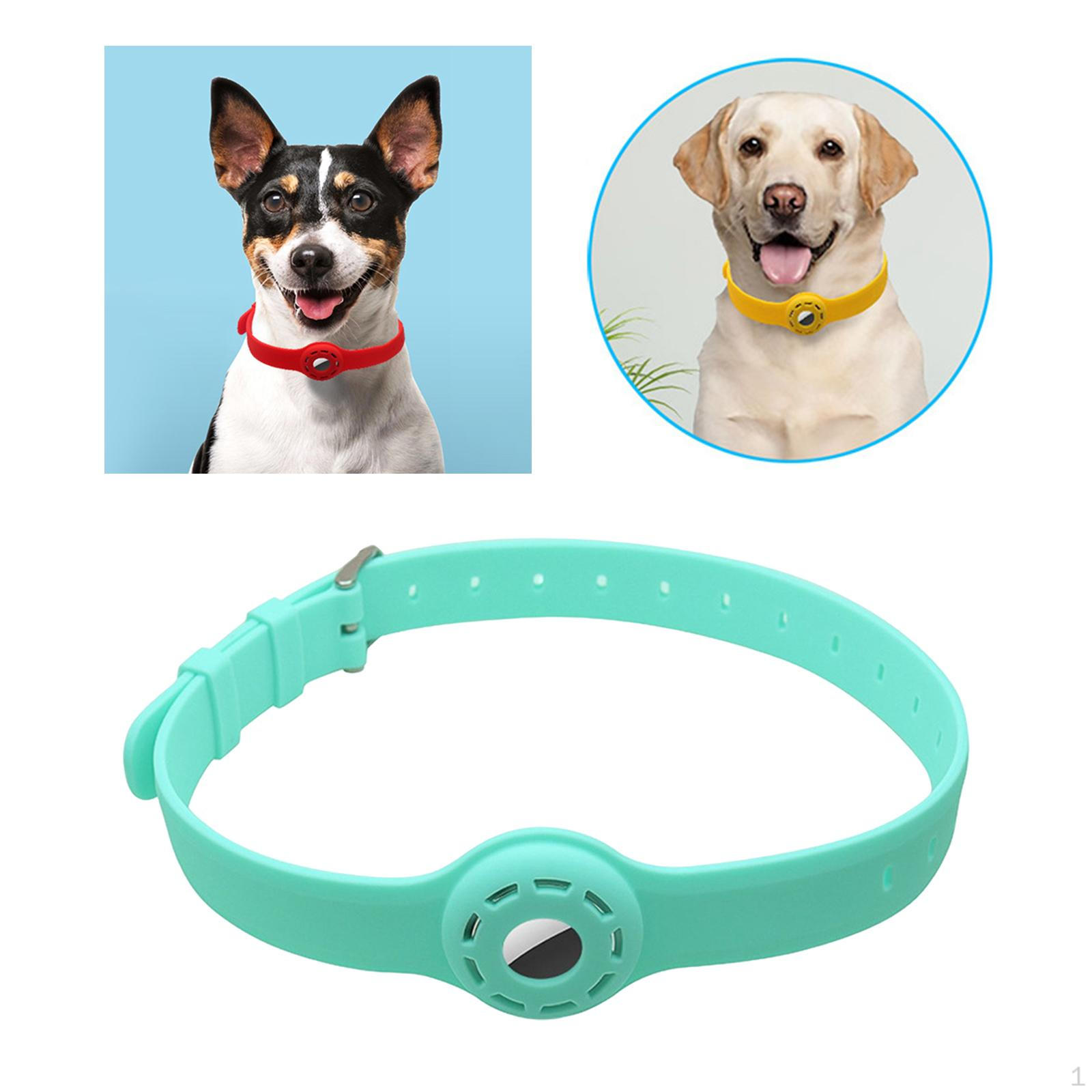 Holder Pet Dog Silic Tear Resistant Olive Green