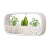 Wall Hanging Planter Rectangle Design Wall-Mounted Flower Pot Simple Stylish Geometric Wall Mounted Air Plants Pot Holder Decor