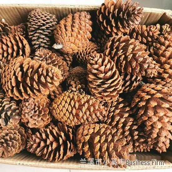 Handmade Wild Pine Cone Christmas Tree Decorative Branches with Dried Flowers