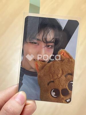 [USED] Stray Kids World Tour dominATE:celebrATE Purchase Bonus