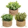 Green Artificial Plants Eucalyptus Grass Woven Small Potted Plants Grass Mound 11cm PE Material Home Decoration