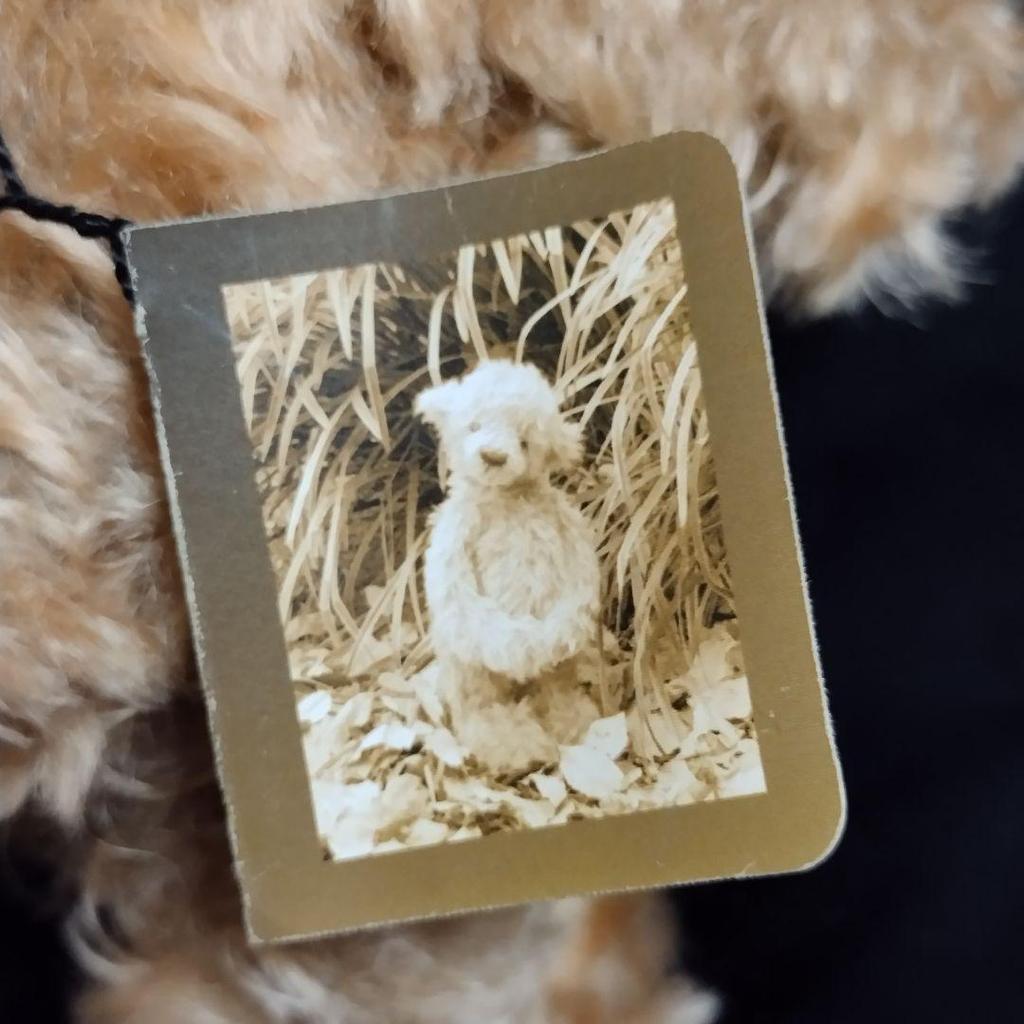 [USED] Teddy Bear Mari Bear