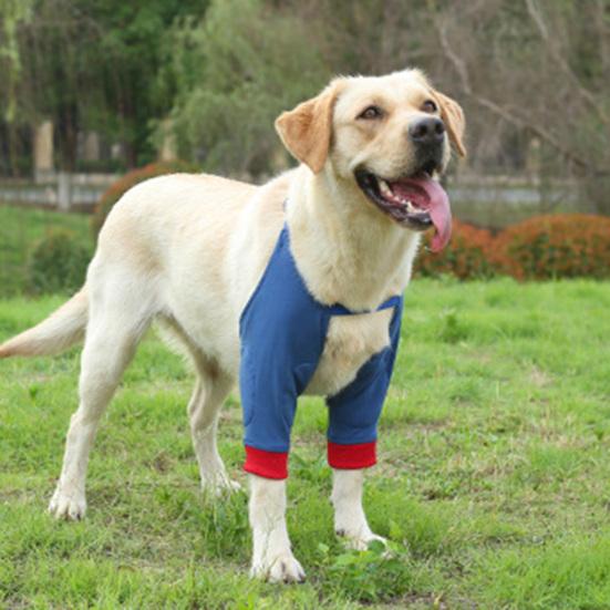 Dog Protector Front Chest Webbing Adjust Buckle Fixed Ring Comfortable Breathable After Injury Tool