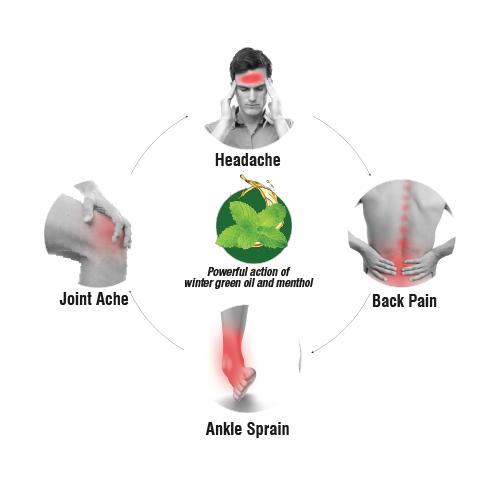Amrutanjan Strong Pain Balm 30ml Pack for Headache Body Pain Relief Fast-Acting Natural Soothing Balm
