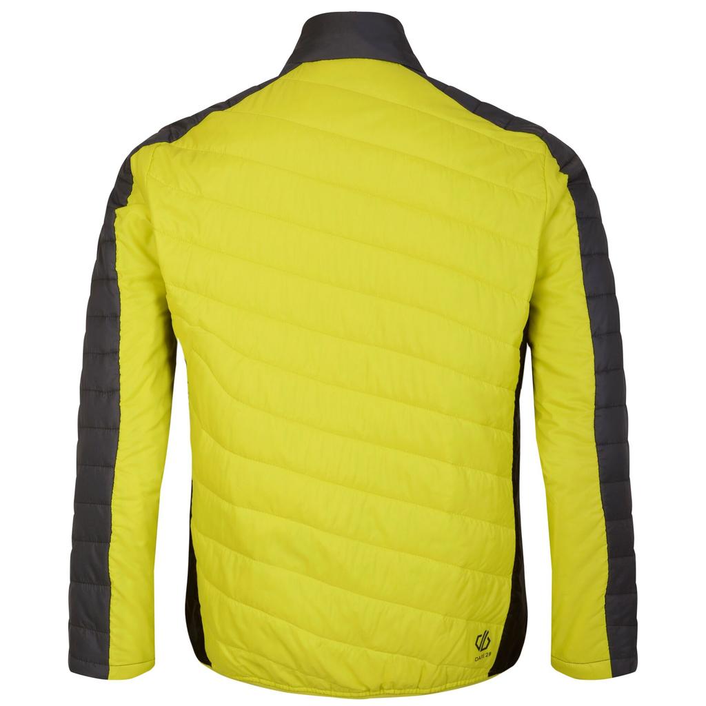 Dare 2B Mens Descending Padded Jacket