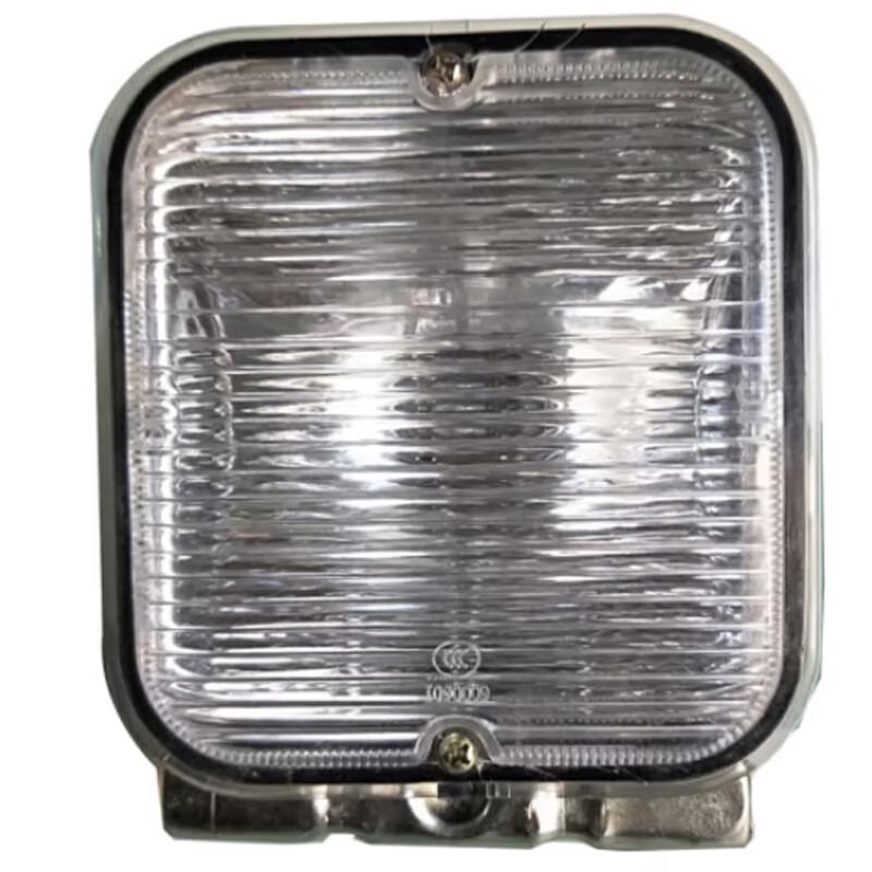 Ruili Dongfeng Truck Rear Fog Lamp