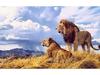 Modern Lion Canvas Art: Male & Female Lions Mural Poster for Living Room Decor