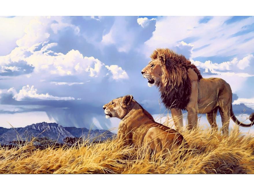 Modern Lion Canvas Art: Male & Female Lions Mural Poster for Living Room Decor