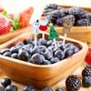 4x Fruit Sign Fork Set for Cake Dessert Pastry Reusable Lunch Box Toothpicks