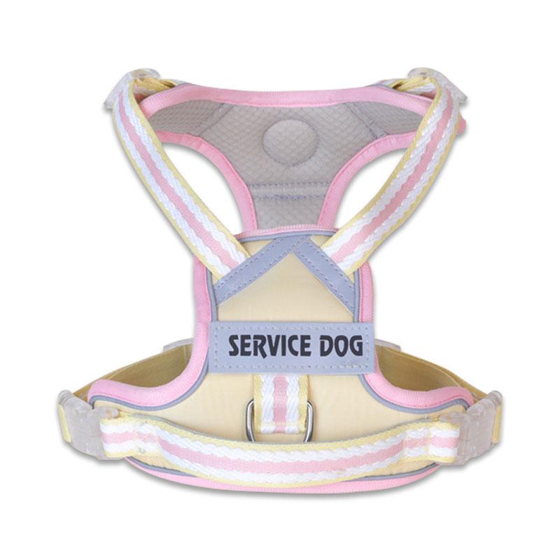 New Reflective Dog Harness, Dog Harness with Customizable Name and ID, Cute Style Pet Leash, Explosion-proof Dog Collar