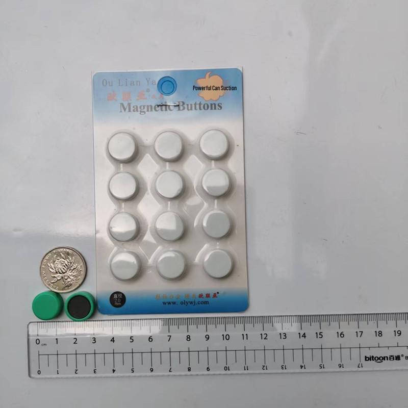 Flat 20mm Magnetic Beads - Teaching, Office, Whiteboard, and Fridge Magnets