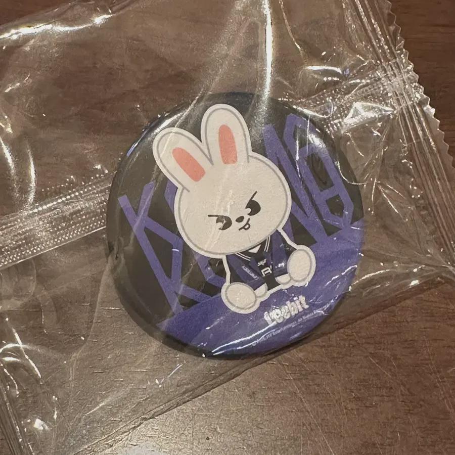 

Straykids Karma Поп-ап магазин Skzoo Зеркало Лягушка