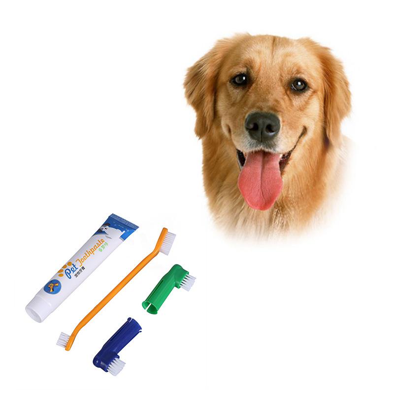 touch of practical dog toothbrush