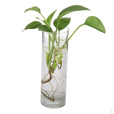 Hanging Glass Planter Pot Flowers Vase Terrarium Container Plant Tea Light Candles - J