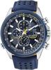 CITIZEN PROMASTER Limited Edition Blue Angels Model Sky Series Men's Watch, Eco-Drive AT8020-03L [Used]