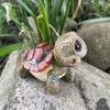 Cartoon Big Eyed Turtle Ornament Collectible Marine Life Ornaments  Children Gifts