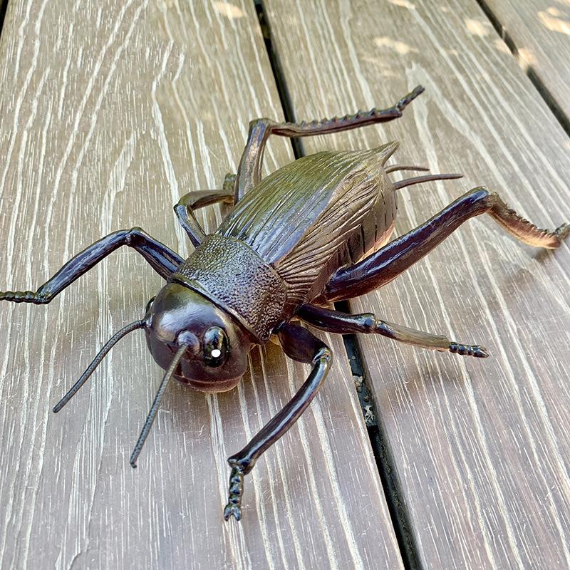 Large sized insect animal simulation model, spider, locust, scorpion, ant, unicorn fairy, children's educational cognitive ornam