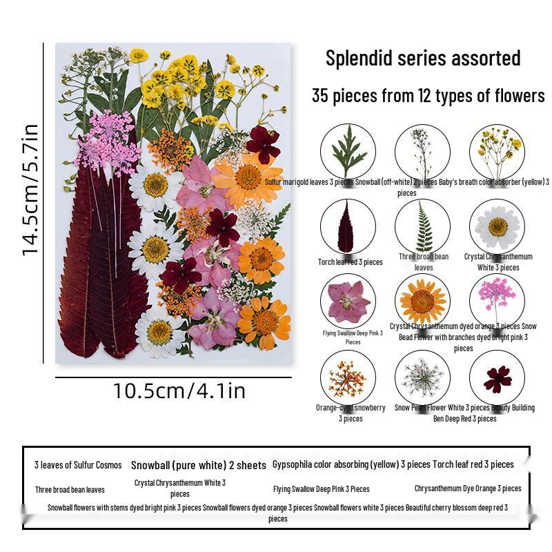 DIY Dried Flower Specimen Sticker Set for Kids: Handmade Pressed Flower Frames & Resin Bookmark Craft Kit