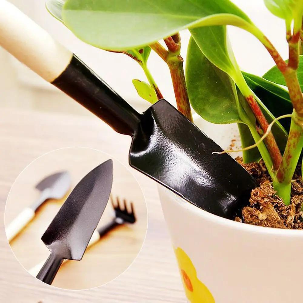 3 pcs Mini Horticultural Potted Plant Tool Plant Floral Planting Tool Multifunctional Household Potted Plant Loosening Soil Tool