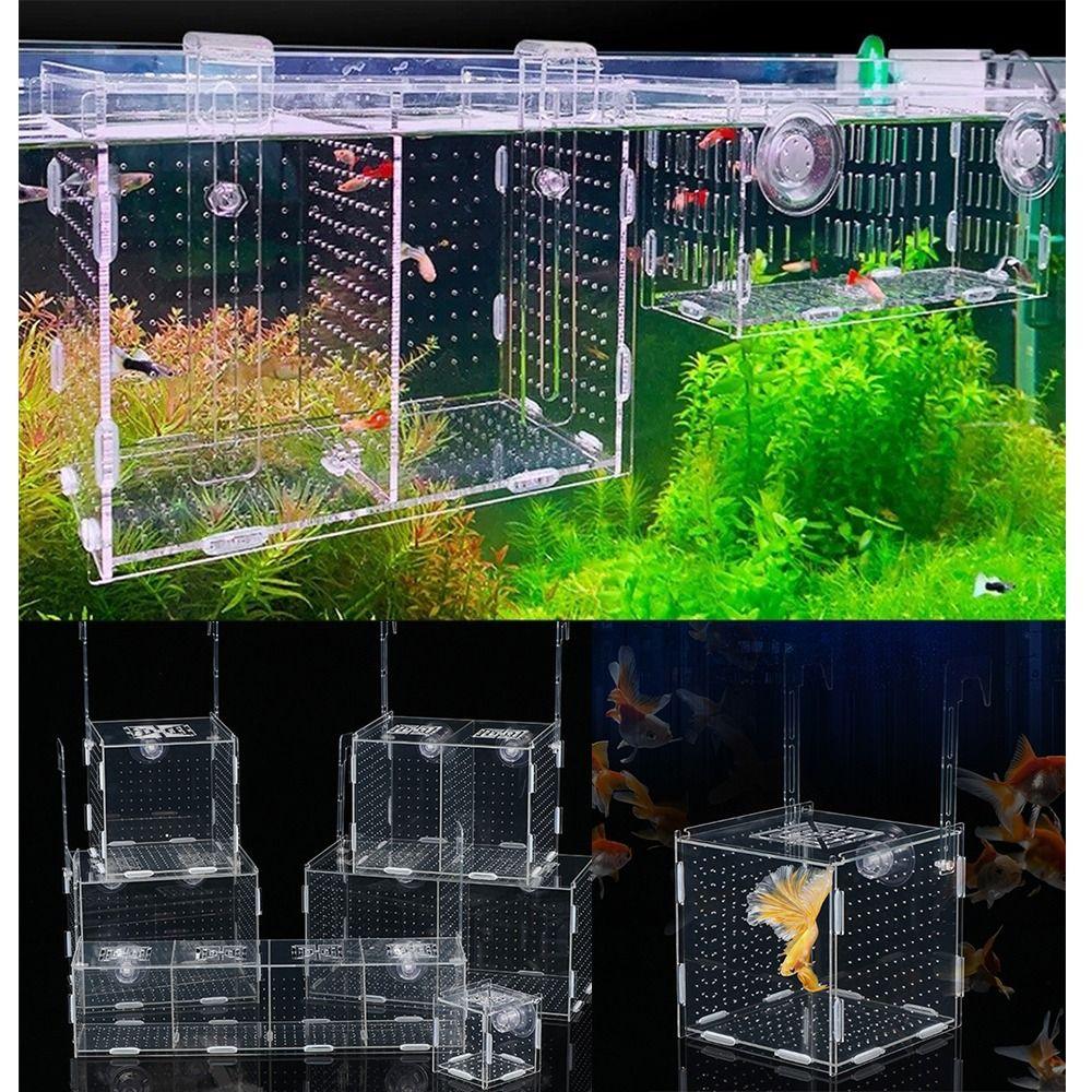 1 Stück Kleinfisch-Aquarium-Isolationsbox Laich-Schlupf-Brutkasten Trennwand Fischzuchtbox Transparentes Acryl