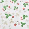 Nishikawa Wedgwood Fits 63x43cm Wild Strawberry Smooth to the Inner Made in PJ05705602 Pillowcase, Pillows, Washable, 100% Cotton, Design, Touch,