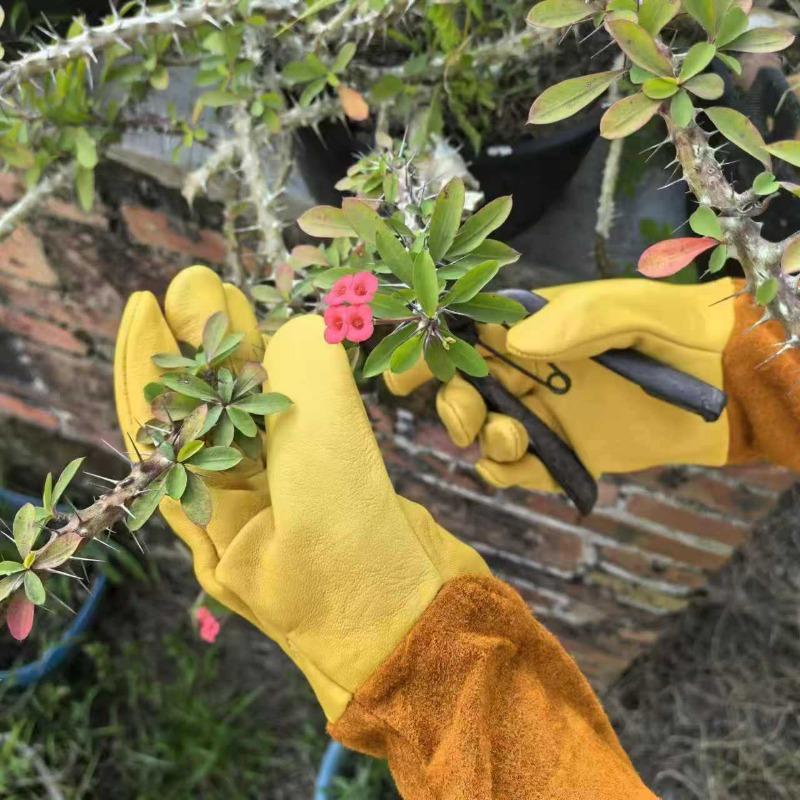 Sheepskin Garden Gloves Horticultural Labor Protection Anti Stab Anti Cut Long Beekeeping Argon Arc Welding Gloves Comfortable