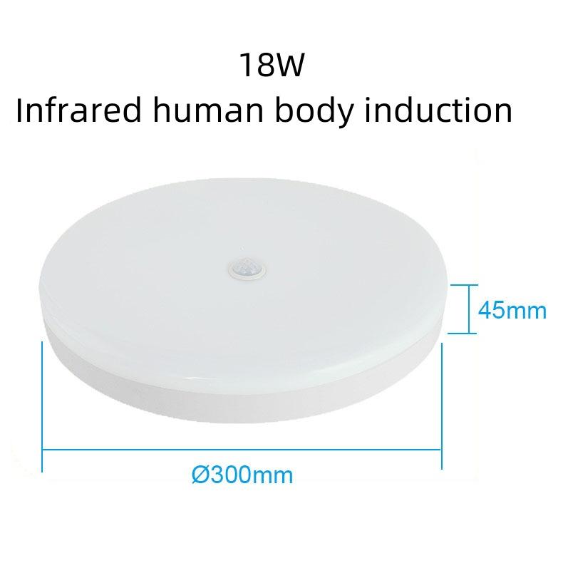Ultra-thin Household Voice-controlled Ceiling Lamp AC220V 12W 18W with Human Body Infrared/radar Sensor Staircase Balcony Lighti