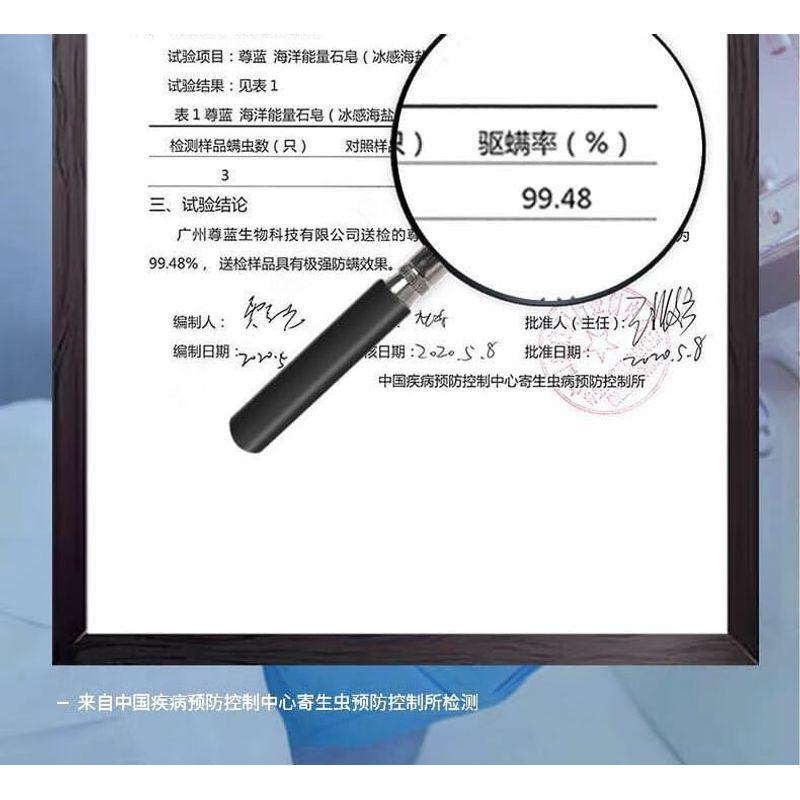 BLUEMAN - Ocean Energy Stone Soap