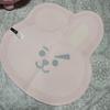 Used BTS BT21 Cushion & Mat