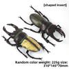 "Oversized Beetle Model Ornaments: Children's Animal Simulation Toys"